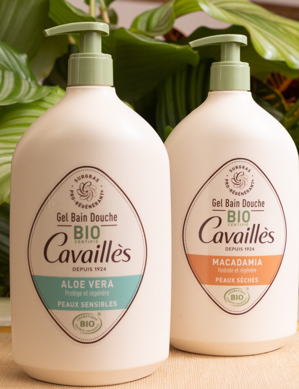 Shop Secondary Image Shop Secondary Image